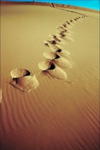 Footsteps in the sand.