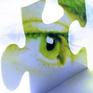 Picture combining a puzzle piece and the image of an eye---putting together the puzzle by looking closely at key factors.