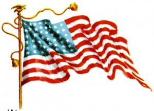 Graphic of the flag of the USA.