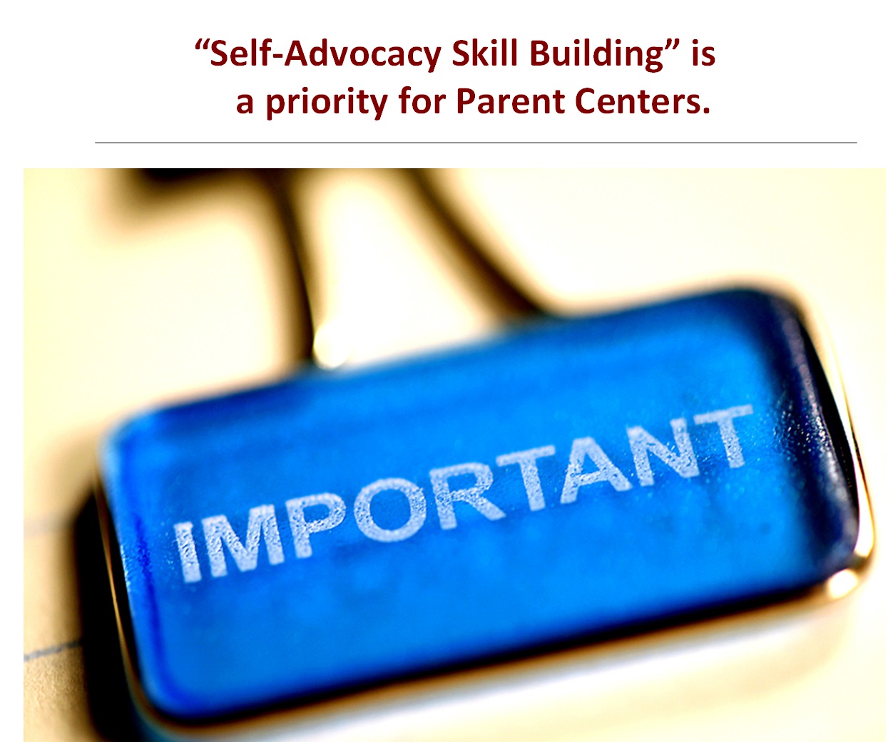 Slide from the webinar saying that Self-Advocacy Skill Building is a priority for Parent Centers.