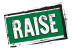 RAISE logo