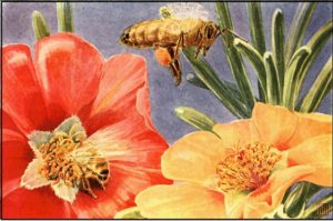 Screenshot of a bee "buzz"ing over flowers