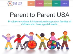 Home webpage of P2P USA
