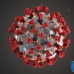 Picture of the coronavirus